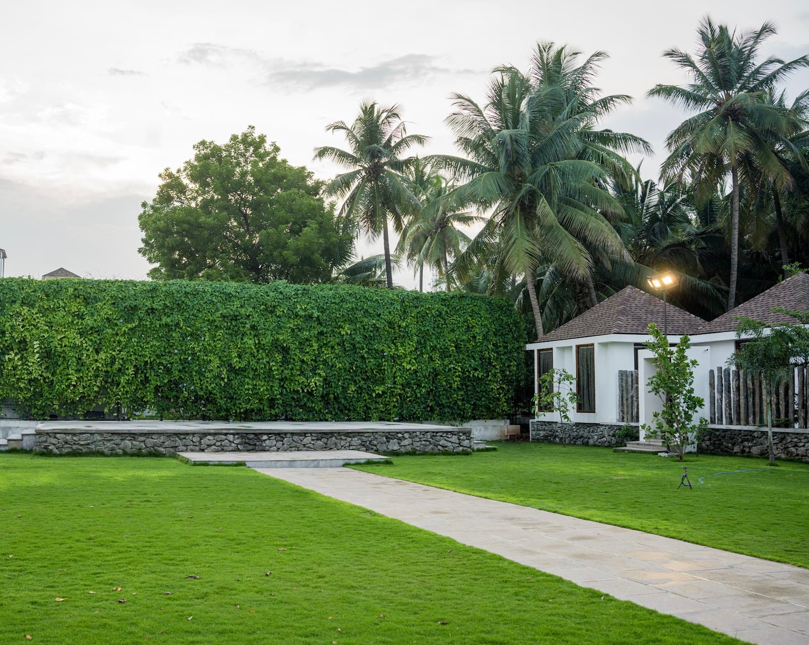 GOLDEN MEADOWS by Raviappaa, Tiruppur